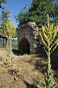 Schonenburg  Schnberg