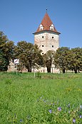 Steinabrunn