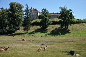 Weyerburg