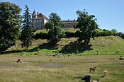 Weyerburg
