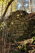 Hohenwartstein � nejv�t�� zbytky zdiva pod j�drem