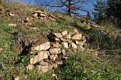 �dengrossau � zbytky zdiva ve svahu