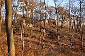Scharfeneck
