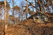 Scharfeneck