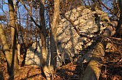 Scharfeneck