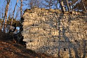 Scharfeneck