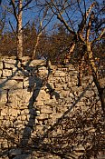 Scharfeneck