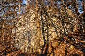 Scharfeneck