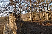Scharfeneck
