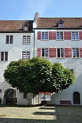 Arbon  ndvo