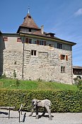 Kyburg