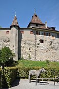 Kyburg