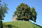 Anwil