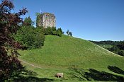 Last – Schönenberg