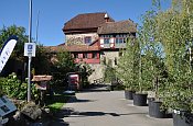 Hagenwil