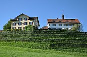 Dottenwil
