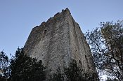 Torre Niccolai