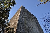 Torre Niccolai