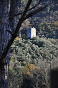 Torre Niccolai z Castello di Ripafratta