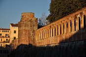 Pisa – Cittadella Nuova (Giardino Scotto)