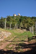 Turniansky hrad od cesty podél vinic