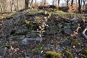 Kamenec – zbytky zdí hradu