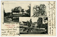 Pole – pohlednice (1906)