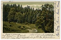 Pajrek – pohlednice (1904)