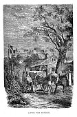 Lipnice od severu (1880)